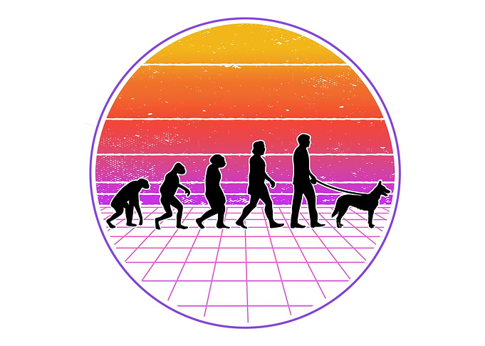 Hollandse Herder Evolutino