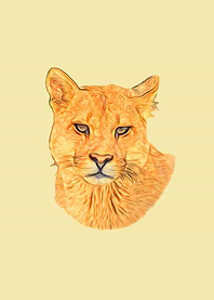 Mountain lion