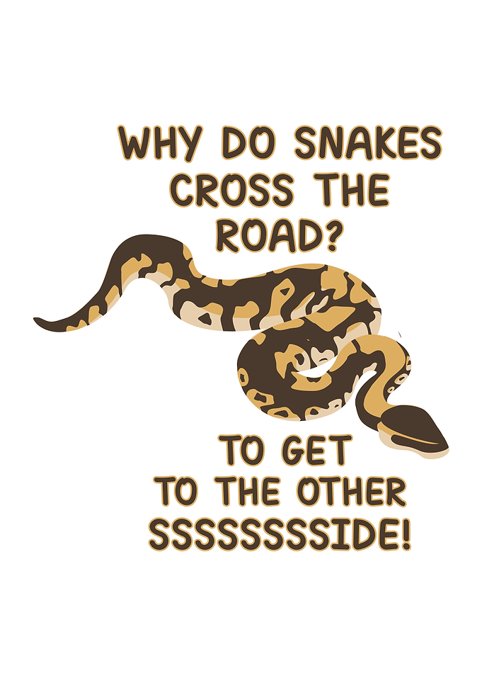 Snakes cross the road