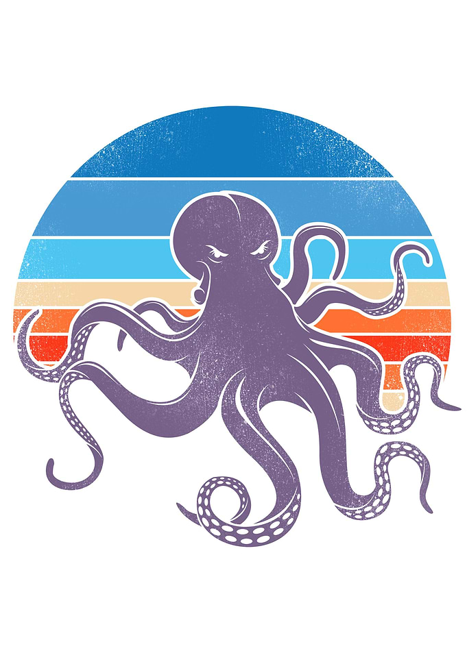 A Octopus Sunset