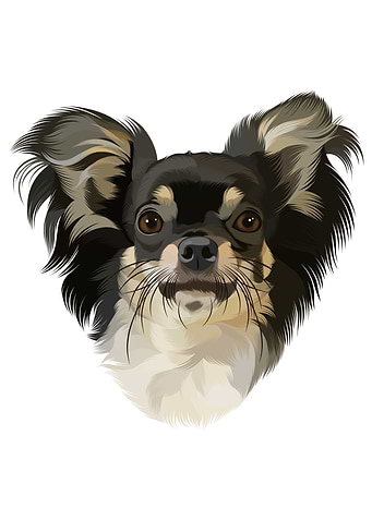 CHIHUAHUA 2