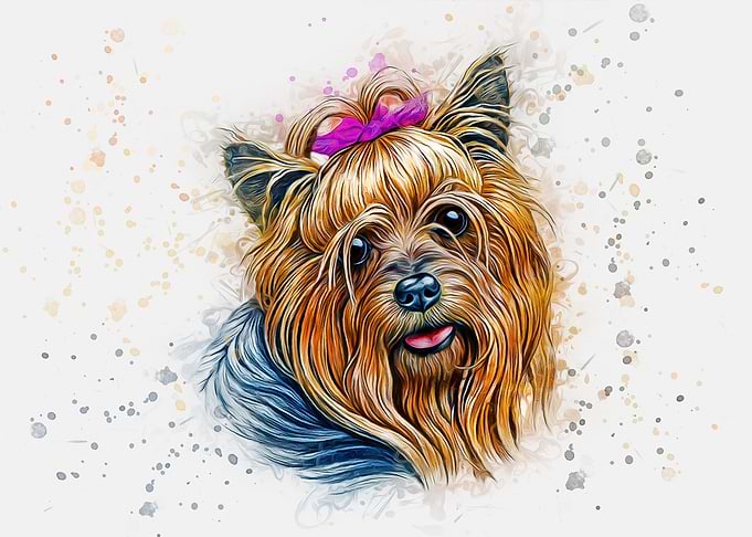 Yorkshire Terrier Art