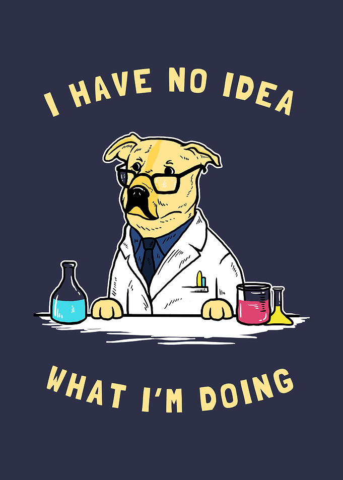 No Idea What Im Doing