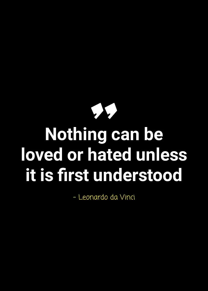 leonardo da vinci quotes