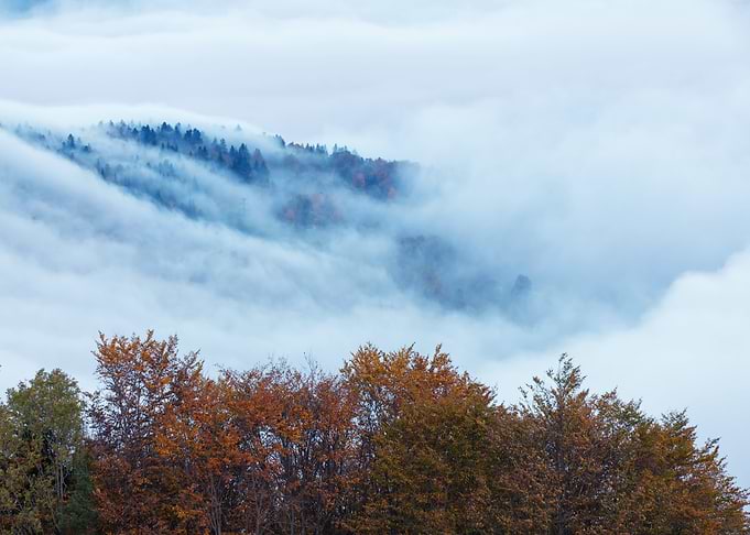 Autumn foggy dawn, Poland