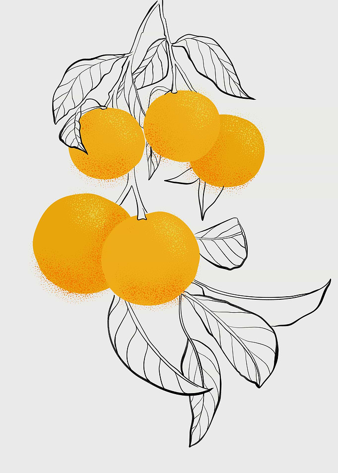 Mabel oranges