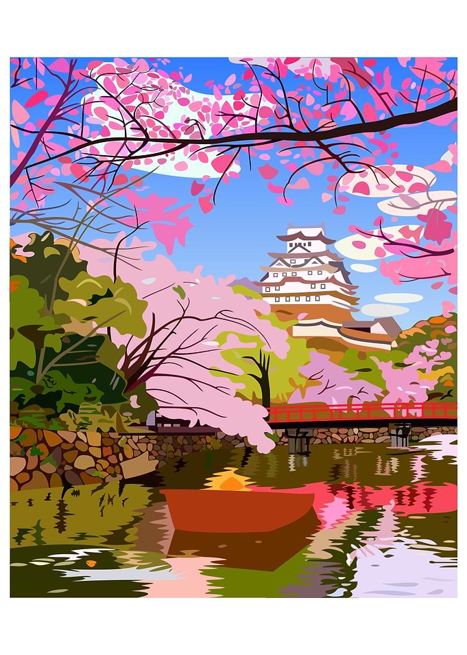 Japanese Cherry Blossoms