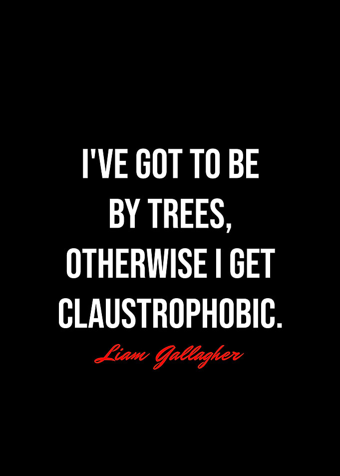 Liam Gallagher Quotes