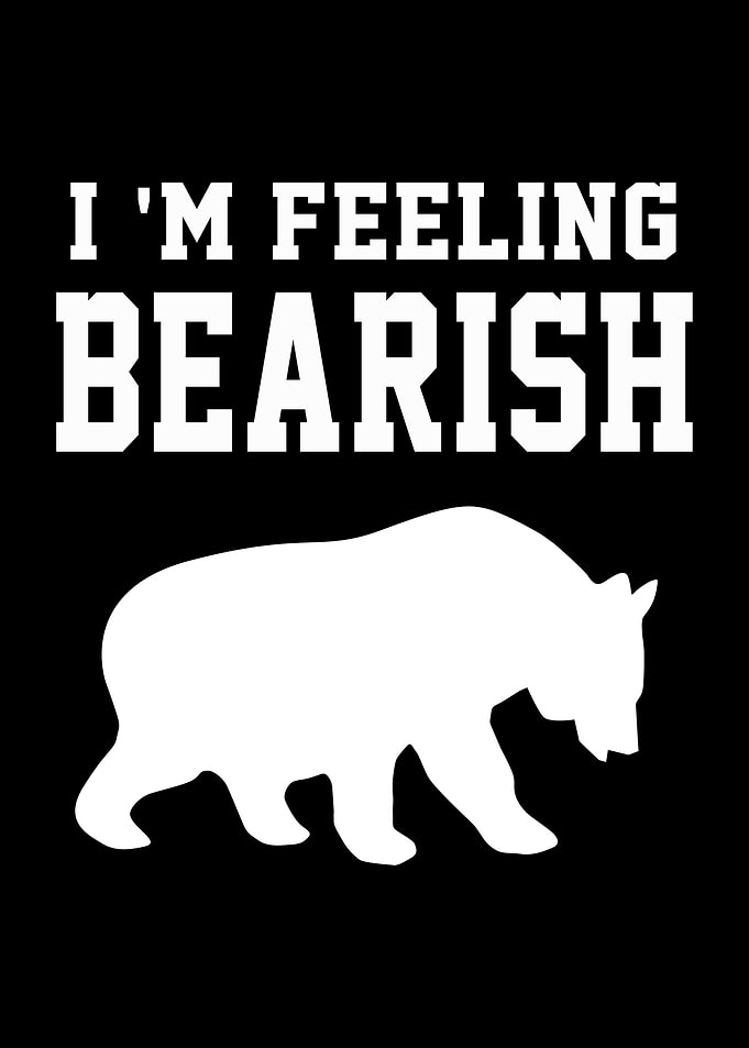 Stock Market Bear