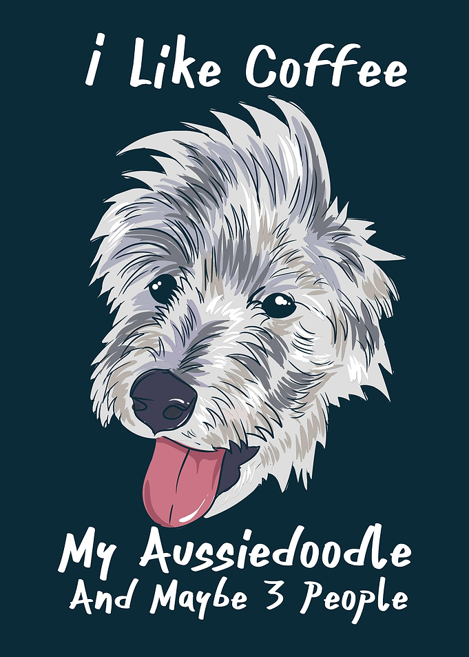 Coffee Aussiedoodle