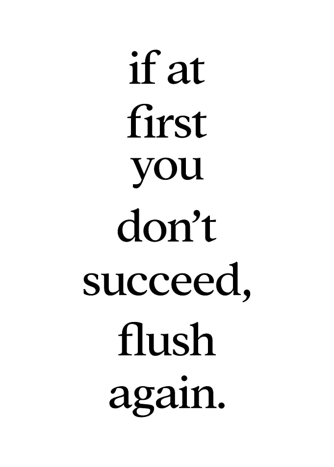 Flush Again