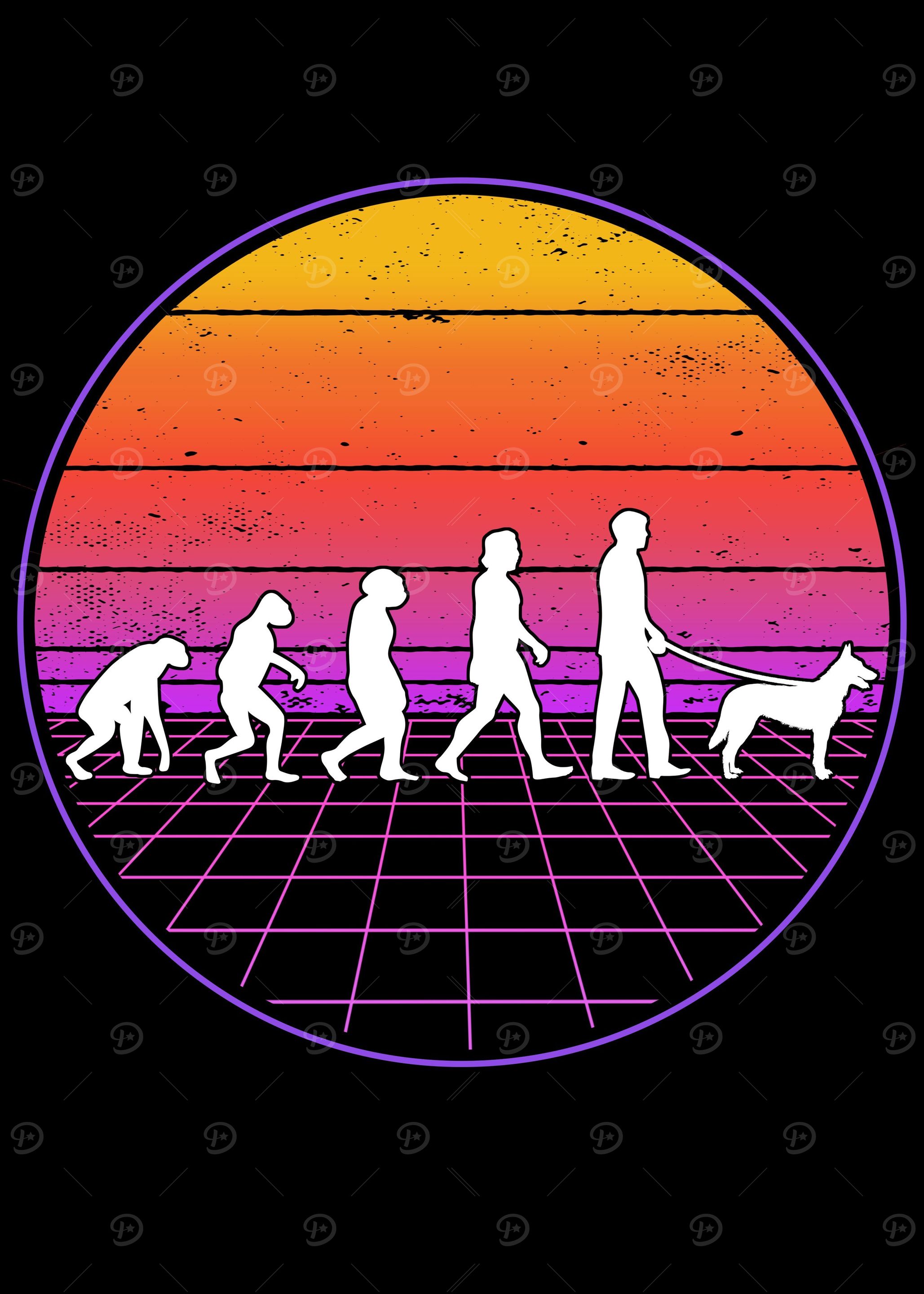 Hollandse Herder Evolutino