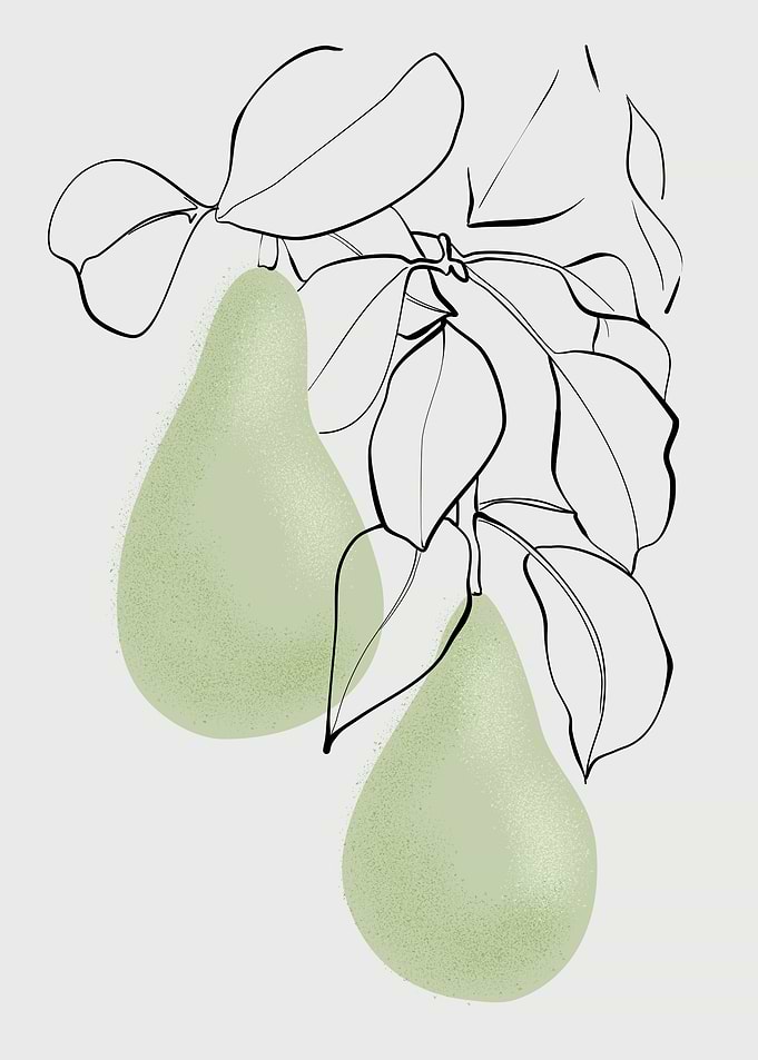 Wen pears