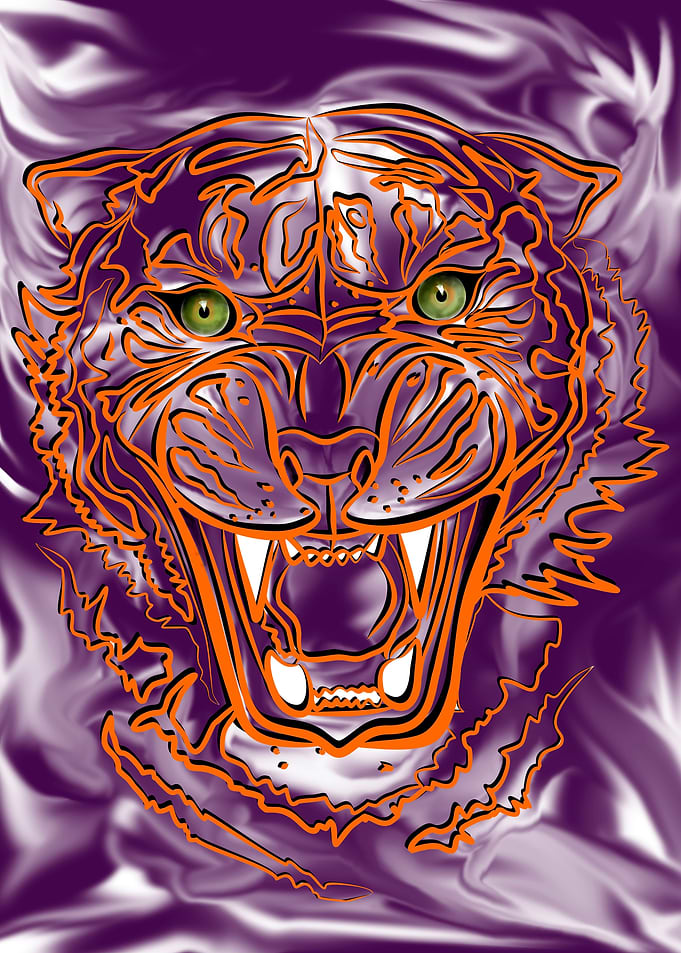 The Angry Tiger