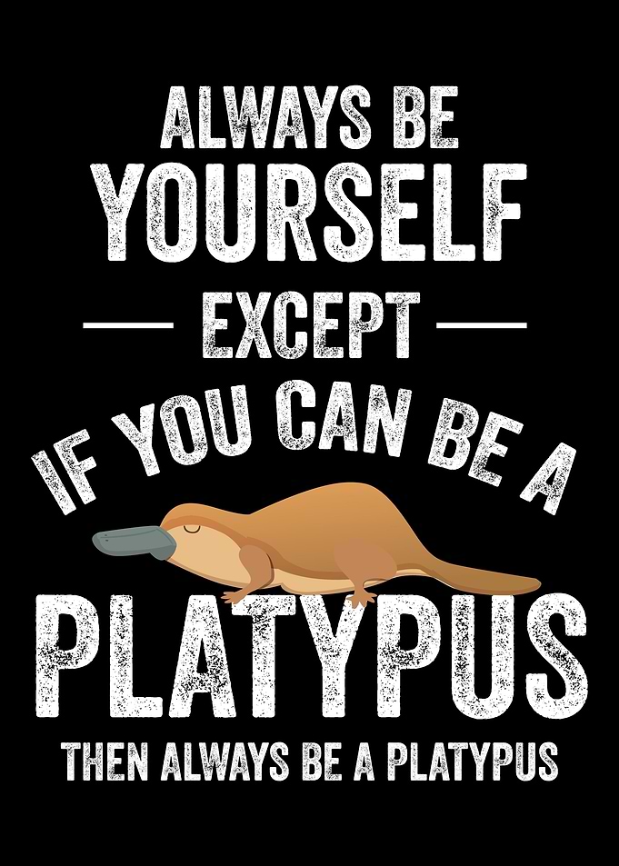 Bea Platypus Platypus Duck