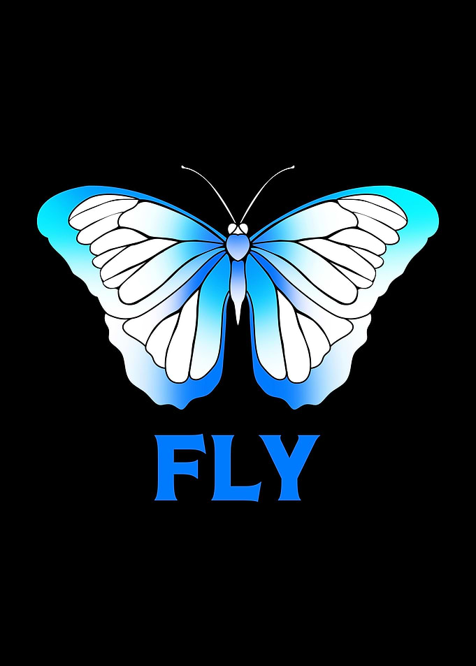 Butterflies Fly