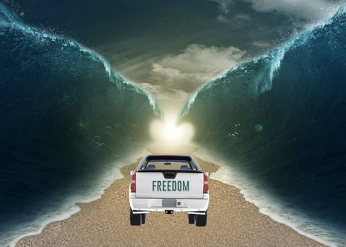 Mose Sea Freedom