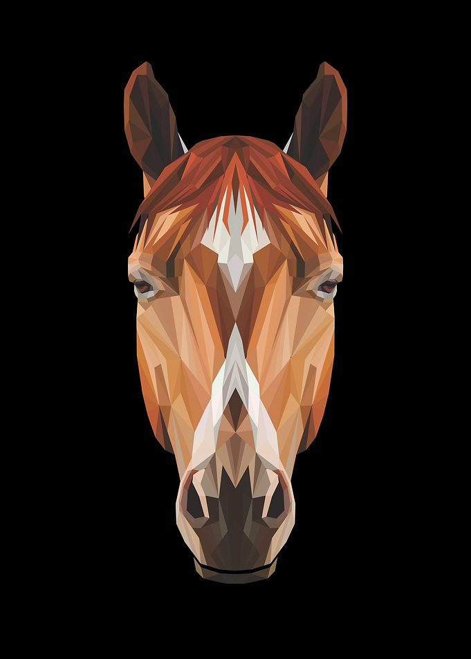 Reiten Pferd
