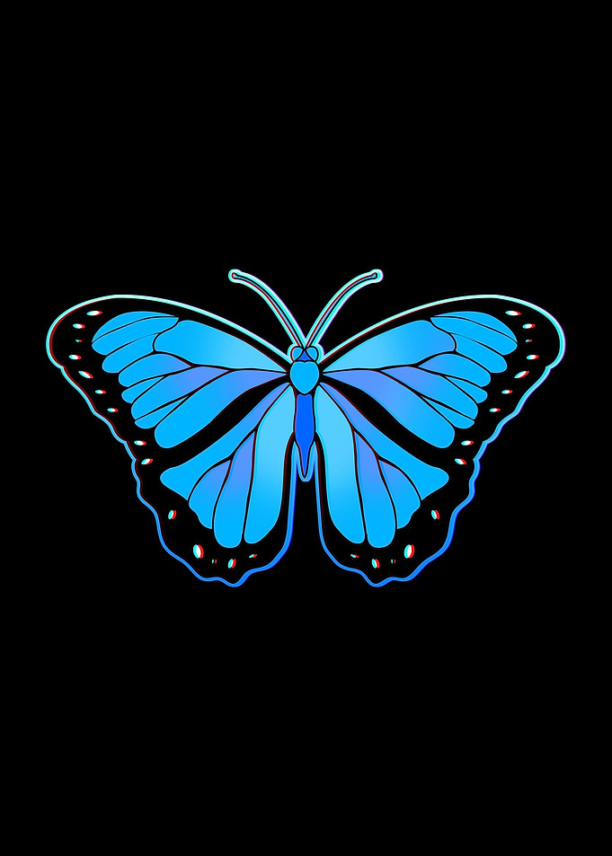 Blue Butterfly