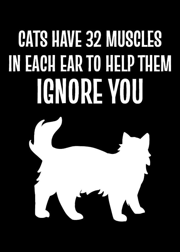32 Muscles Cat Lover and O