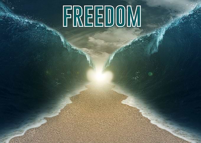 Mose Open Sea Freedom