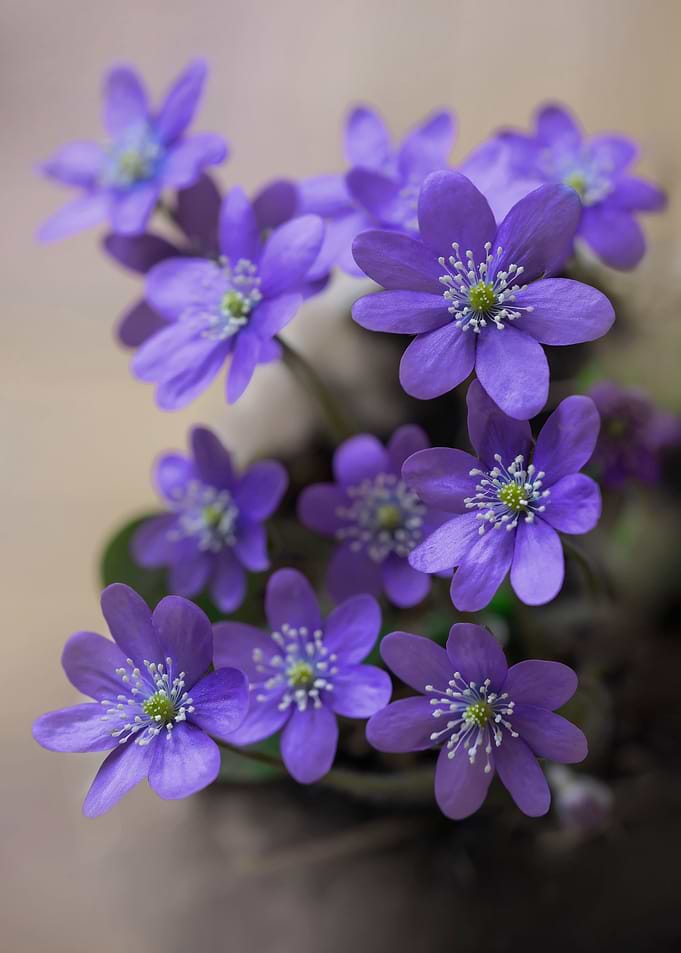 Spring is here