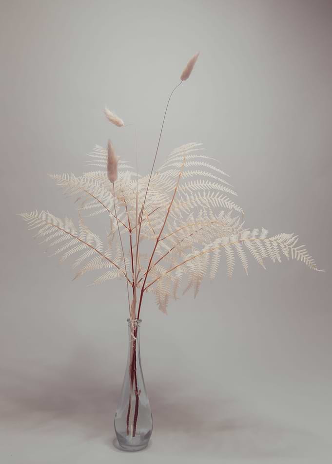 Mocca Flower