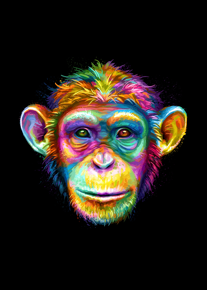 Chimpanzee