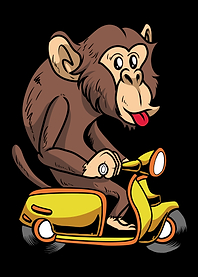 Scooter Bike Scoot Moped