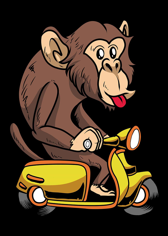 Scooter Bike Scoot Moped