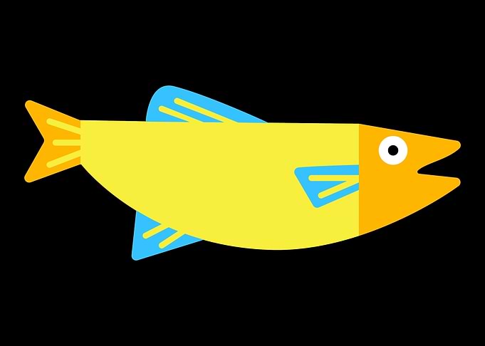 Colored fish