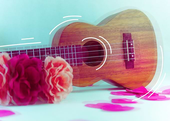 Ukulele Lover