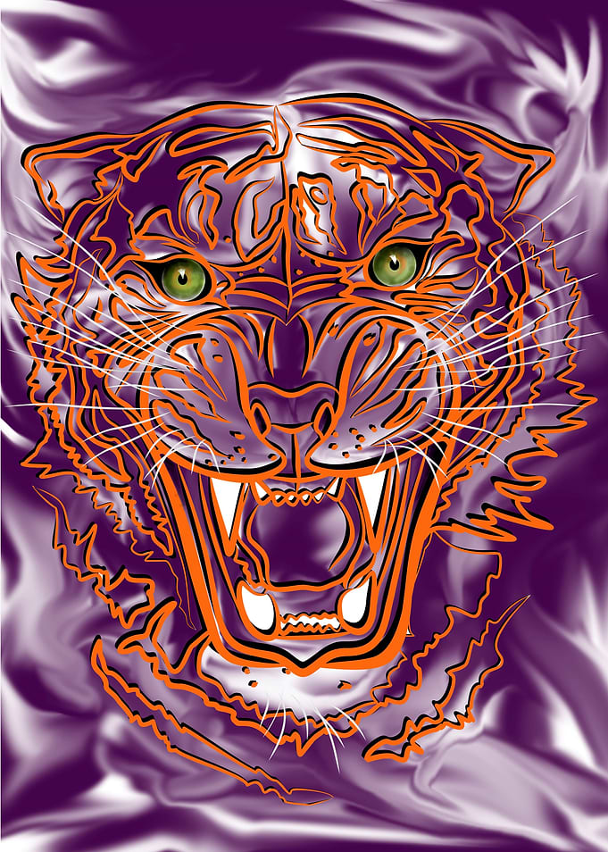 ANGRY TIGER