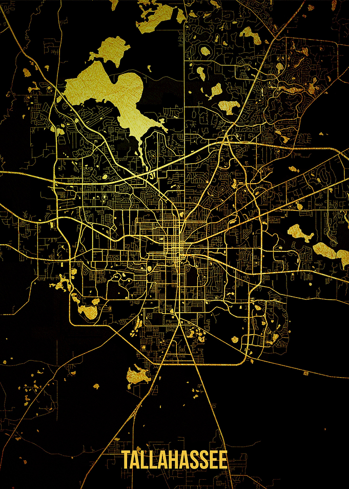 Tallahassee gold map