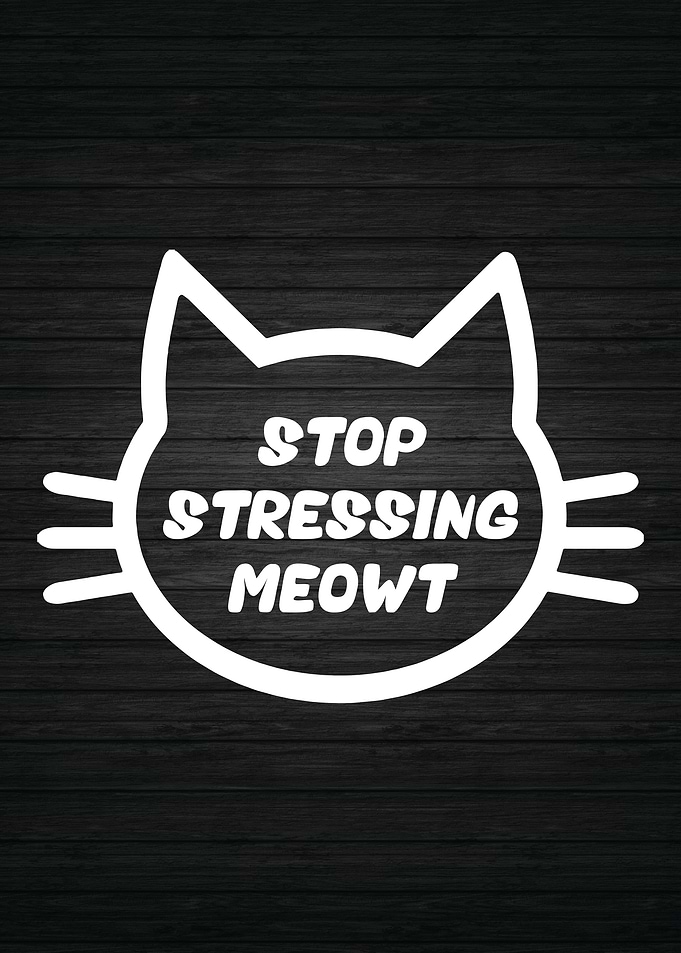 Stop Stressing Meowt