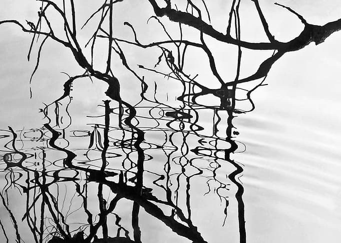 Natural reflections