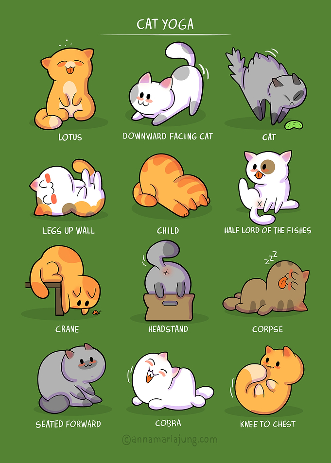 Cat Yoga