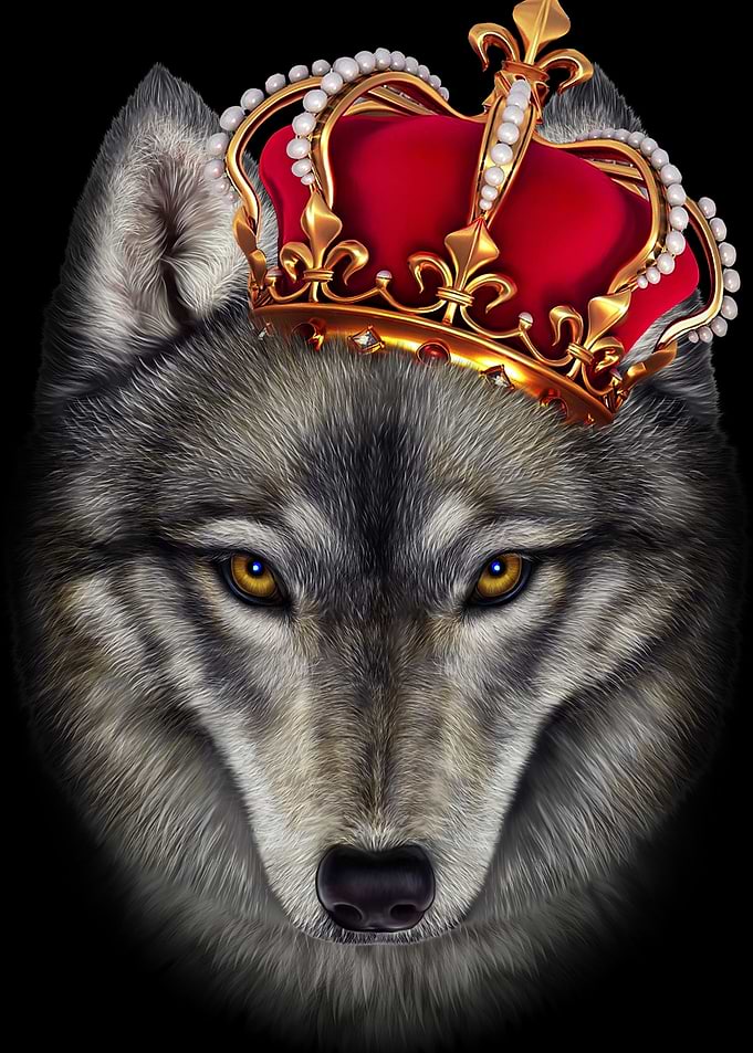 Royal Timber Wolf