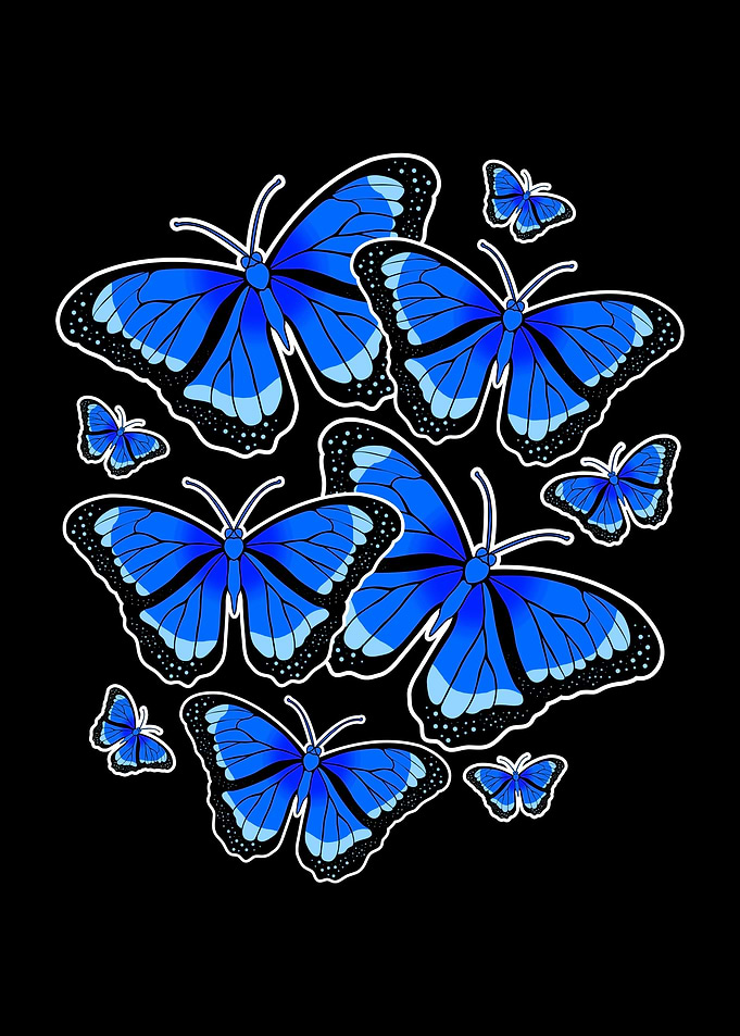 Butterfly Flying