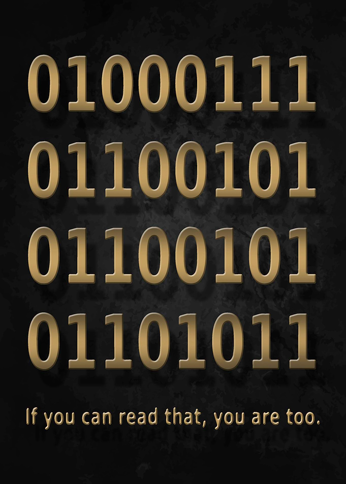 Programmer Coder