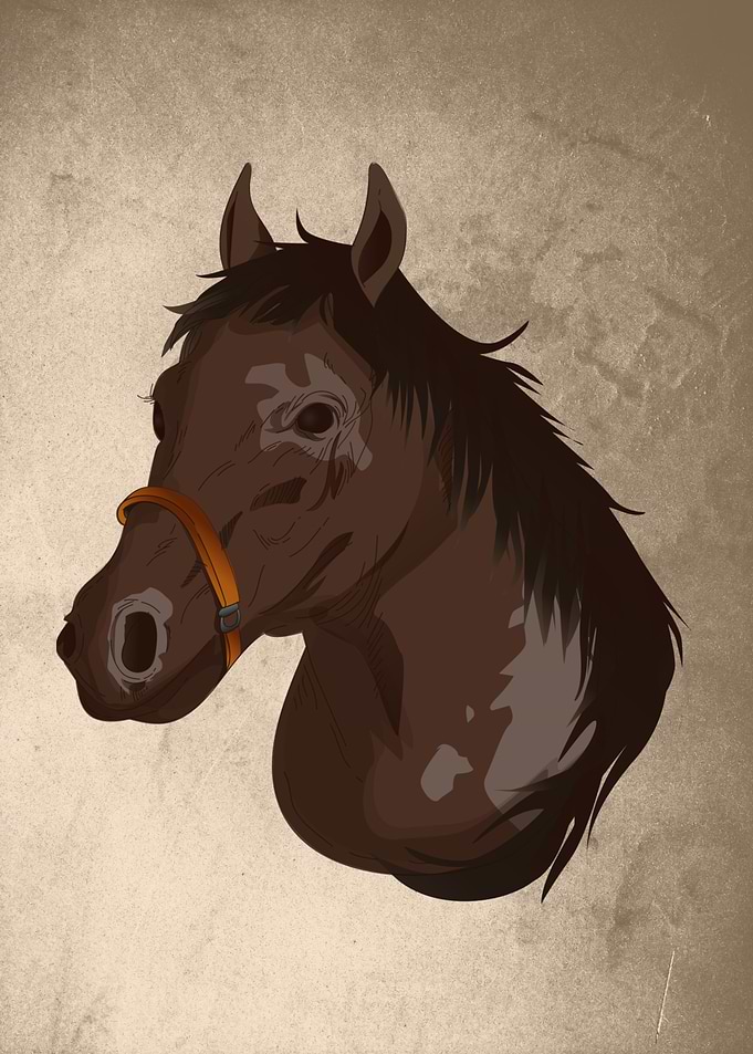 Horse head with mane