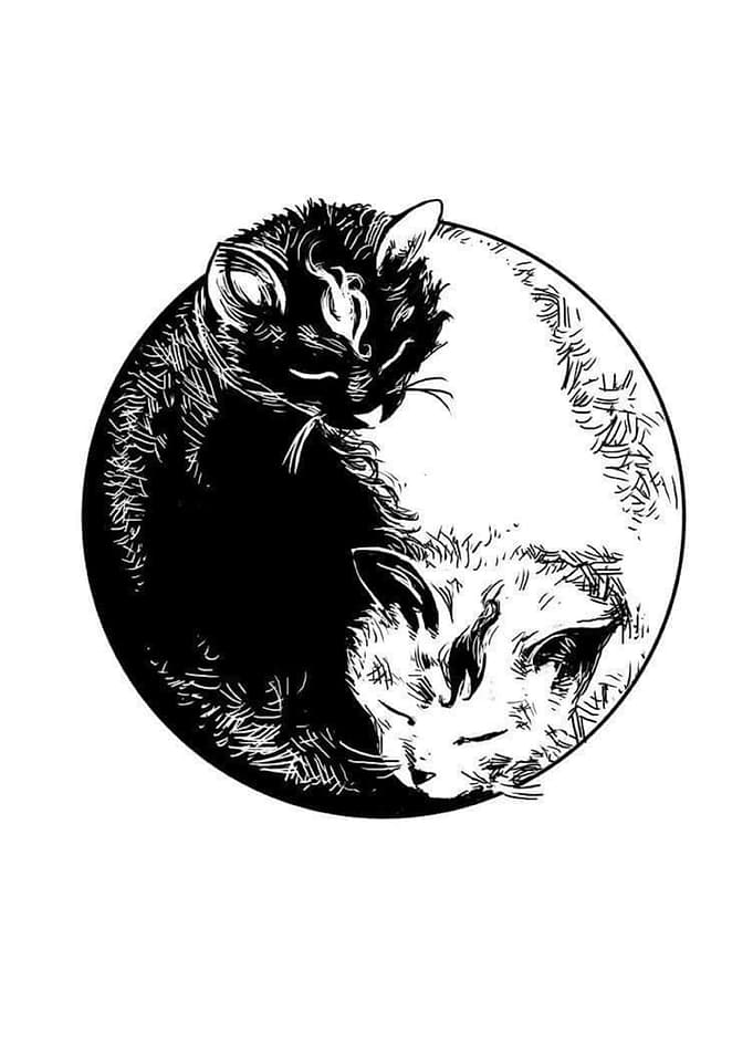 Yin Yang Cats