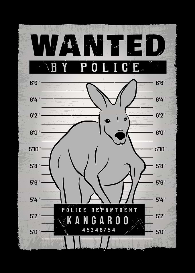 Kangaroo