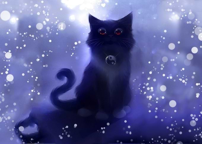Black Cat Art