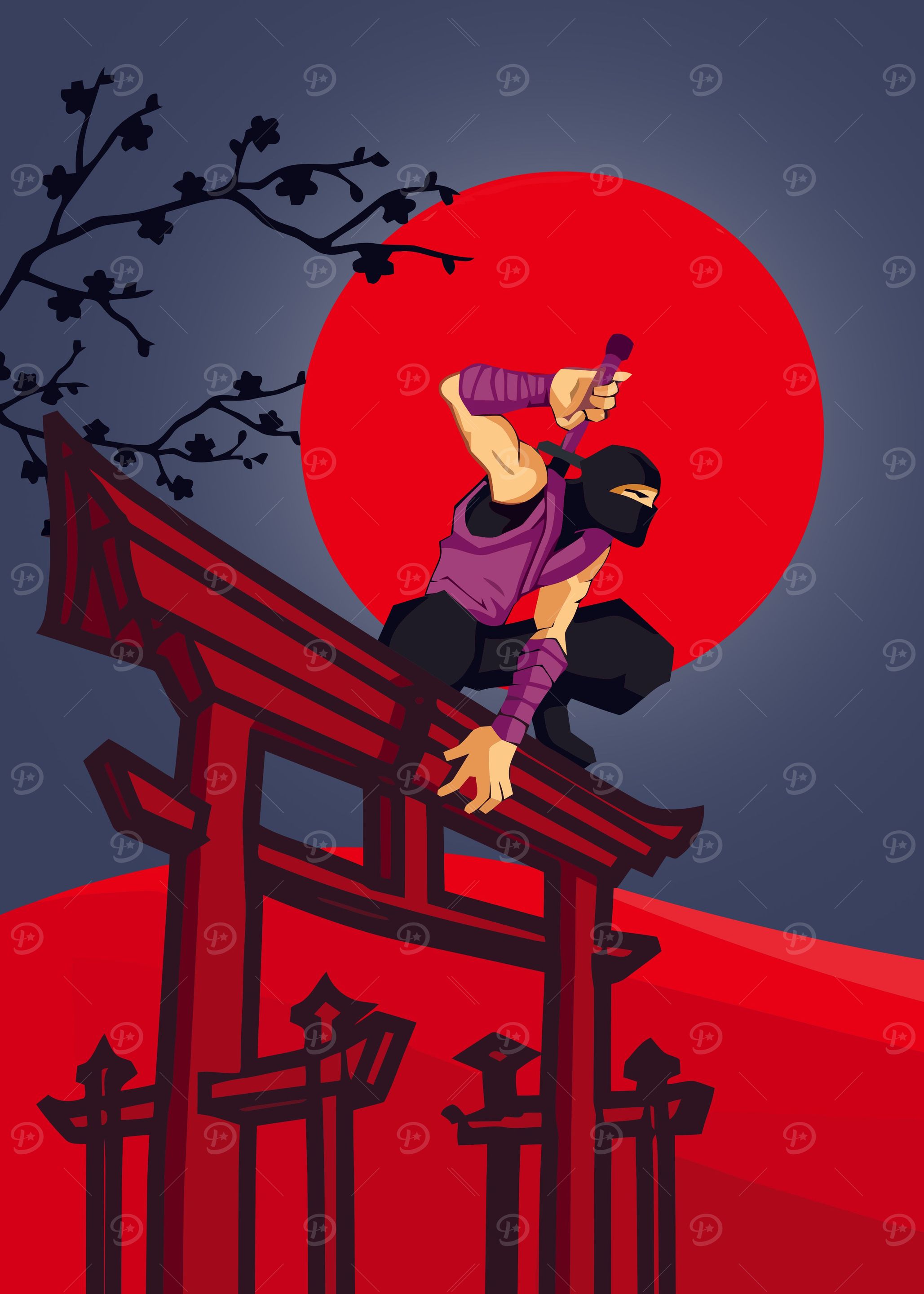 Ninja Warrior Art