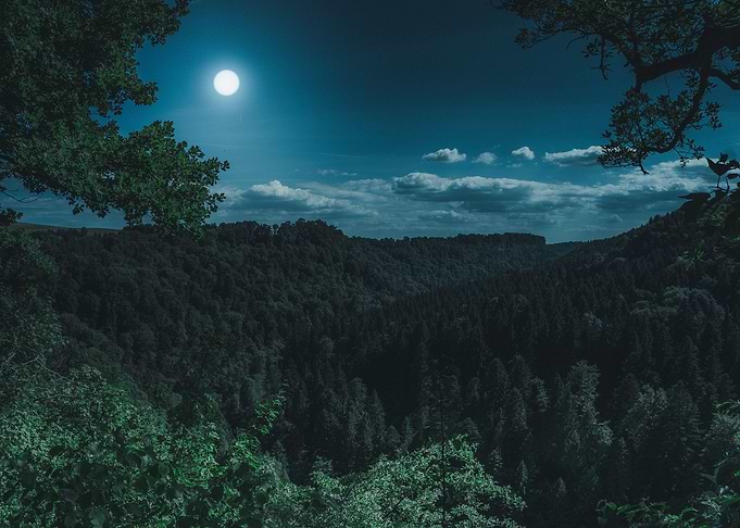 Black forest