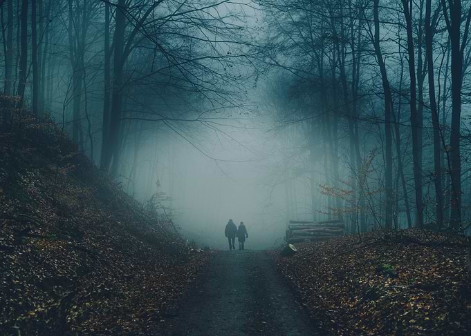 A lovely couple in the fog