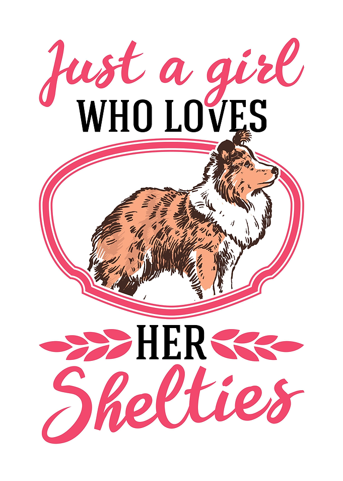 Sheltie Girl Shetland