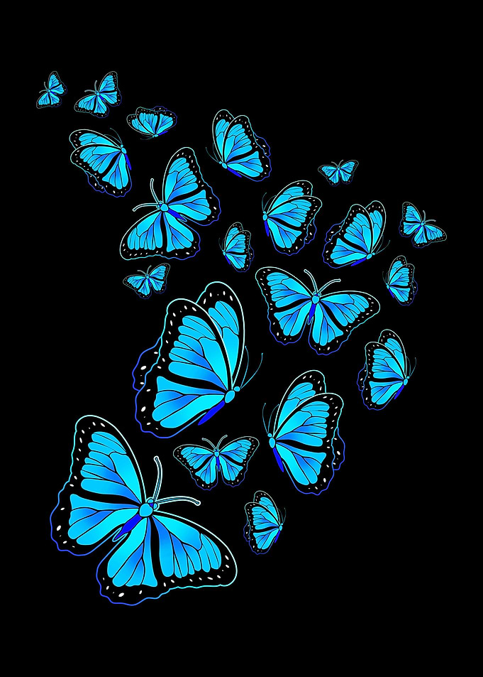 Butterfly Flying