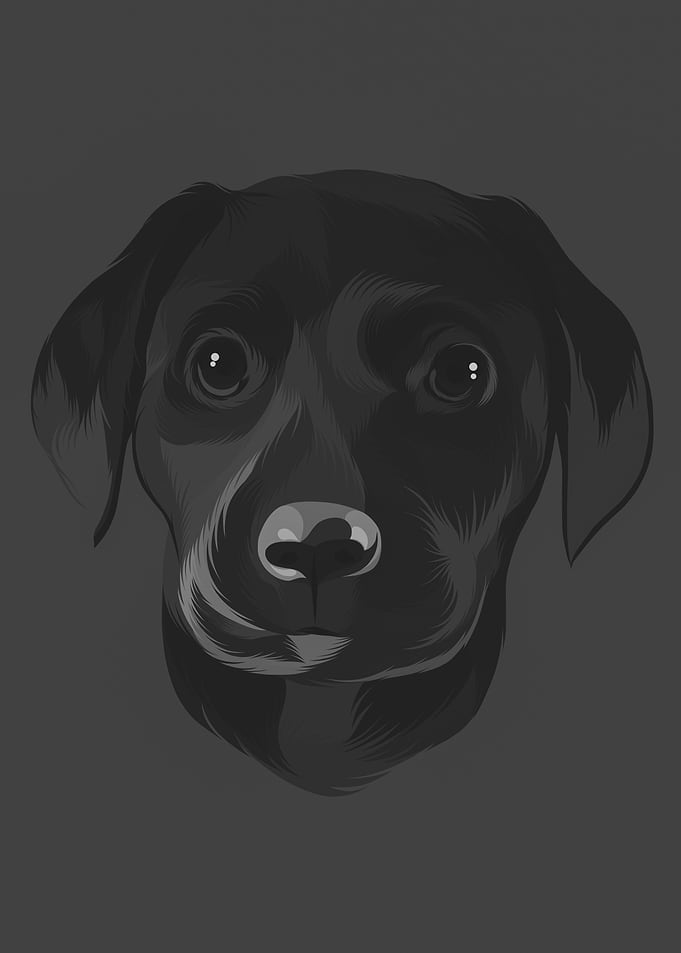 Black Dog